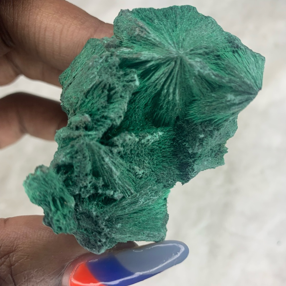 Velvet Malachite